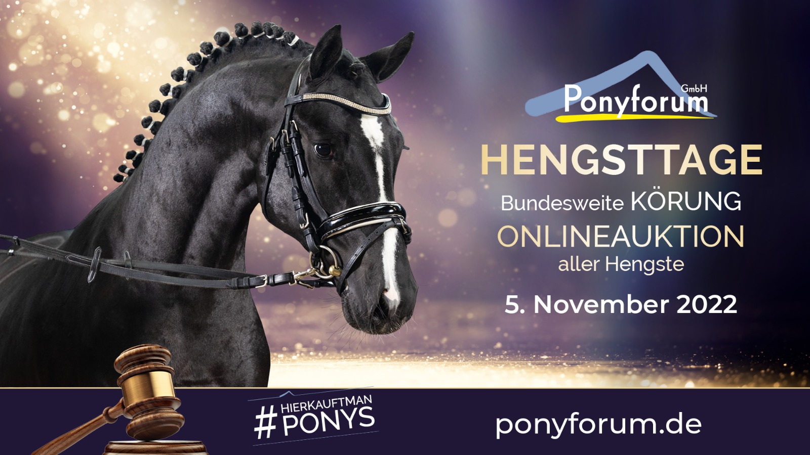 Ponyforum Hengsttage 2022 – hier sind die Champions!