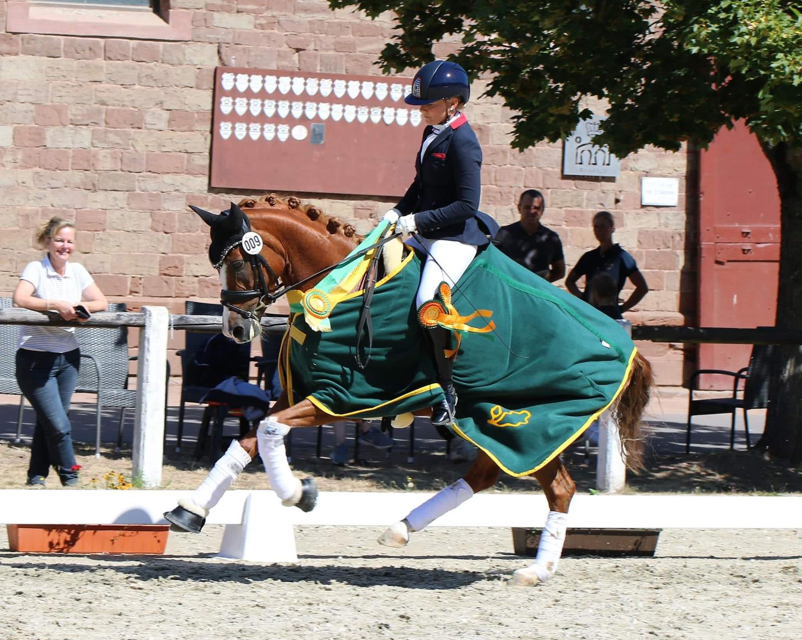Miss Daisy Landeschampion der 4 jährigen Reitponys aus der Zucht der ZG Feuerle