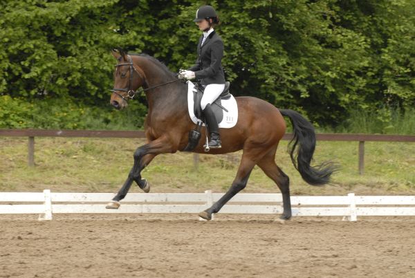 zw contessa mawe d470146 klein