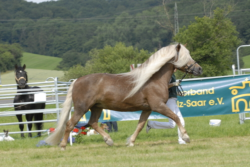 titel - wolga mawe e680002